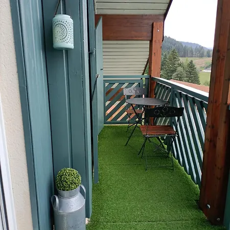 Apartment Appartement Gerardmer - Magnifique Vue Sur Le Lac - 2 Adultes Et 2 Enfants Pour 5 Nuits Minimum *