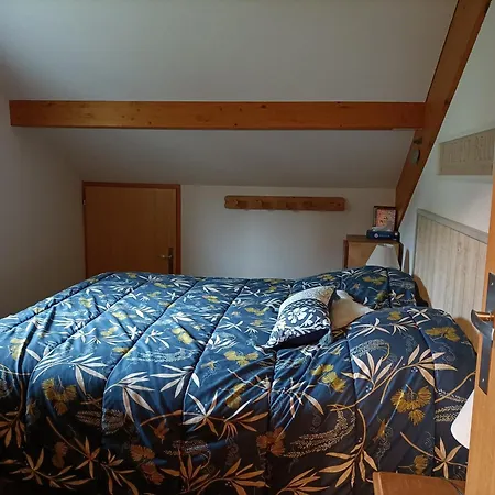 Appartement Gerardmer - Magnifique Vue Sur Le Lac - 2 Adultes Et 2 Enfants Pour 5 Nuits Minimum Apartment