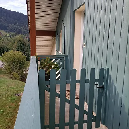 Apartment - Magnifique Vue Sur Le - Jusqu'a 4 Personnes Gerardmer
